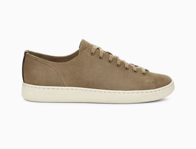 UGG Pismo Low Mens Sneakers Olive - AU 653QV